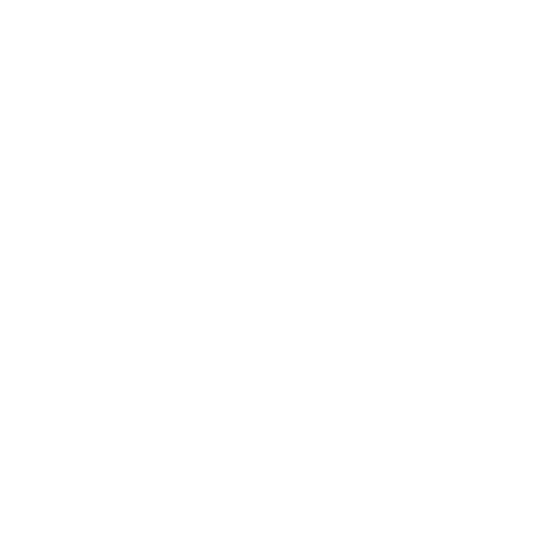 コーディネート