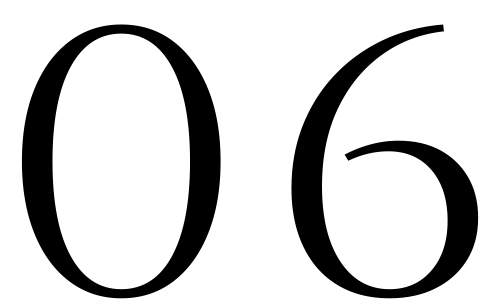 No.06